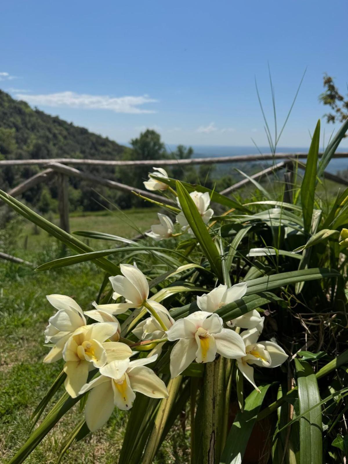 Вілла Casa Franceschini Poggio Mirteto Екстер'єр фото